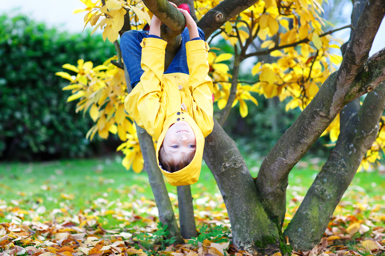 Poika kiipeilee puussa. 