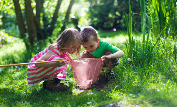 Two children examining the contents of a big insect net in a wooded garden.